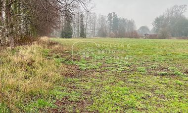 Parcela en Venta 10.000 M2 a Orilla de Carretera, Camino Huichahue, Padre Las Casas
