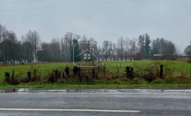 Parcela en Venta 10.000 M2 a Orilla de Carretera, Camino Huichahue, Padre Las Casas