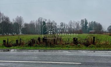 Parcela en Venta 10.000 M2 a Orilla de Carretera, Camino Huichahue, Padre Las Casas