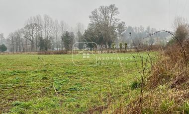 Parcela en Venta 10.000 M2 a Orilla de Carretera, Camino Huichahue, Padre Las Casas
