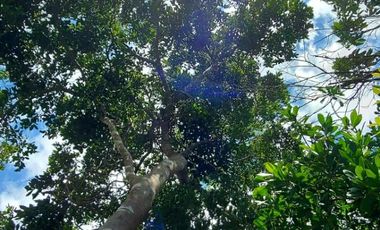 CASA EN RENTA EN CANCUN, ZONA HUAYACAN & COLEGIOS, ESTRENA! ÚLTIMA CASA!!