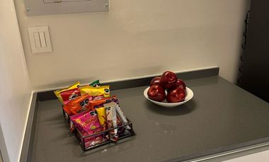 Loft en Renta en Providencia