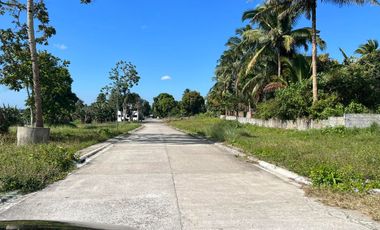 2 years to pay zero interest Residential Lot for sale in Mendez near Tagaytay