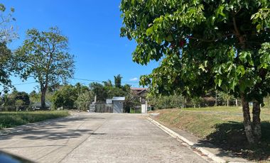 2 years to pay zero interest Residential Lot for sale in Mendez near Tagaytay