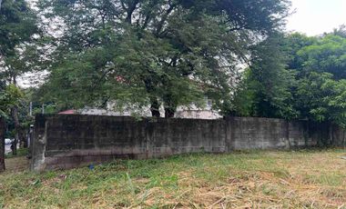 Residential Lot For Sale at BF Homes Parañaque