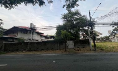 Residential Lot For Sale at BF Homes Parañaque