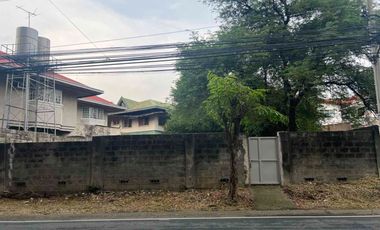 Residential Lot For Sale at BF Homes Parañaque