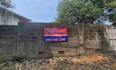 Residential Lot For Sale at BF Homes Parañaque