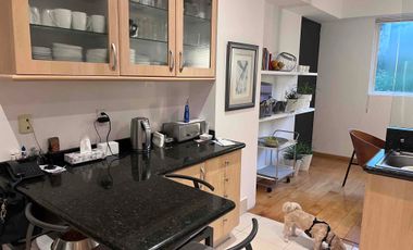 Departamento amplio en Prolongación Paseo de la Reforma