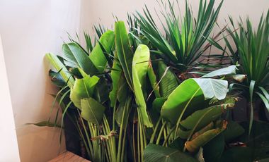 Townhouse for sale in Mandaluyong city New Zaniga, High end developemnt