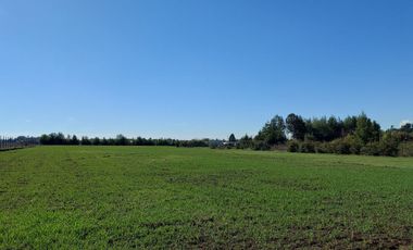 Vende Parcela Orilla Camino Km 9 a Coihueco