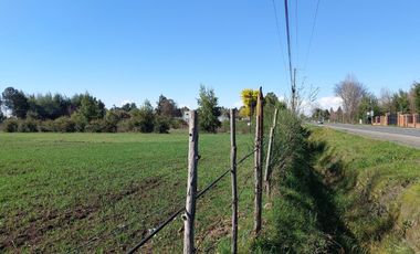 Vende Parcela Orilla Camino Km 9 a Coihueco