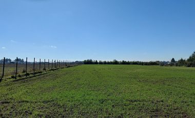 Vende Parcela Km 9 a Coihueco