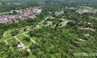 150 sqm Residential Lot in Mendez Cavite