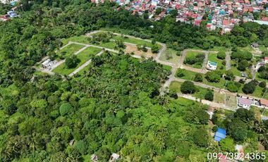 150 sqm Residential Lot in Mendez Cavite