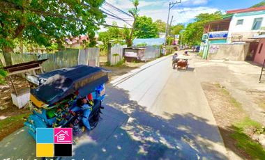 Residential Commercial Lot for Sale in Canjulao Lapu lapu cebu