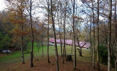 CASA ENTRE PUCON Y CURARREHUE EN 10.000 M2 DE TERRENO