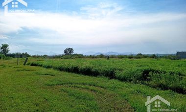 VENTA DE TERRENO TEQUESQUITENGO MORELOS MUY CERCA DE LA LAGUNA Y AUTOPISTA DEL SOL
