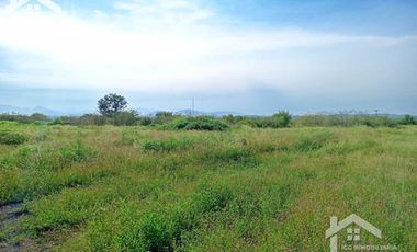 VENTA DE TERRENO TEQUESQUITENGO MORELOS MUY CERCA DE LA LAGUNA Y AUTOPISTA DEL SOL