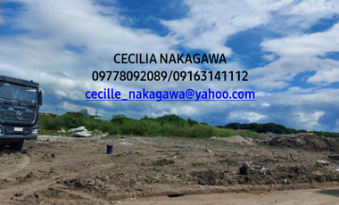 4.8 Hectares Lot for Lease - Paranaque City