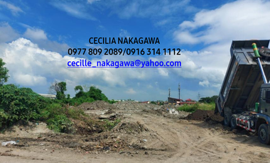4.8 Hectares Lot for Lease - Paranaque City