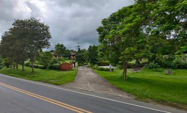 92799 - ที่ดินแปลงใหญ่พร้อมกิจการรีสอร์ท ใจกลางธรรมชาติ อ.แม่จัน จ.เชียงราย