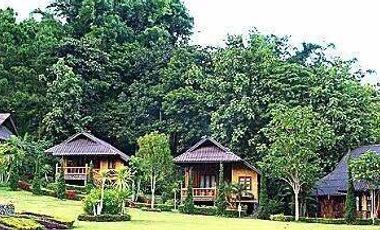 92799 - ที่ดินแปลงใหญ่พร้อมกิจการรีสอร์ท ใจกลางธรรมชาติ อ.แม่จัน จ.เชียงราย