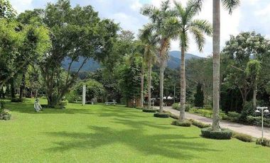 92799 - ที่ดินแปลงใหญ่พร้อมกิจการรีสอร์ท ใจกลางธรรมชาติ อ.แม่จัน จ.เชียงราย