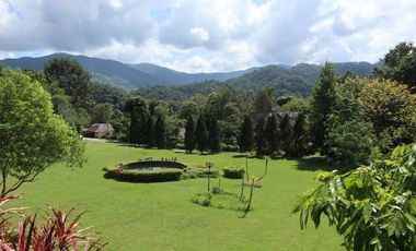 92799 - ที่ดินแปลงใหญ่พร้อมกิจการรีสอร์ท ใจกลางธรรมชาติ อ.แม่จัน จ.เชียงราย