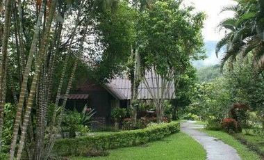 92799 - ที่ดินแปลงใหญ่พร้อมกิจการรีสอร์ท ใจกลางธรรมชาติ อ.แม่จัน จ.เชียงราย