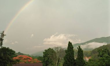 92799 - ที่ดินแปลงใหญ่พร้อมกิจการรีสอร์ท ใจกลางธรรมชาติ อ.แม่จัน จ.เชียงราย