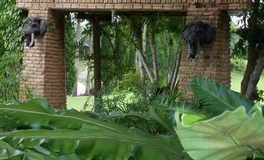 92799 - ที่ดินแปลงใหญ่พร้อมกิจการรีสอร์ท ใจกลางธรรมชาติ อ.แม่จัน จ.เชียงราย