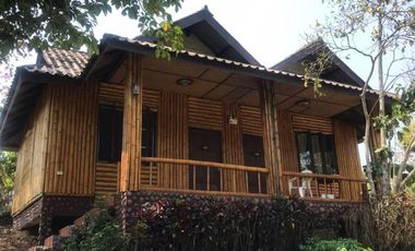 92799 - ที่ดินแปลงใหญ่พร้อมกิจการรีสอร์ท ใจกลางธรรมชาติ อ.แม่จัน จ.เชียงราย