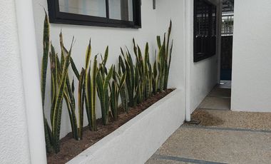 Newly Renovated House and Lot for sale or for rent with 4 bedrooms and pool near Korean Town