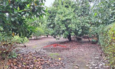 Se Vende Linda Casa Quinta de un piso, con amplio terreno, altura paradero 23, comuna de La Cruz, Región Valparaíso.