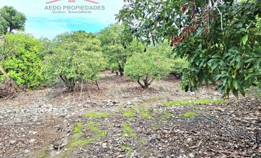 Se Vende Linda Casa Quinta de un piso, con amplio terreno, altura paradero 23, comuna de La Cruz, Región Valparaíso.