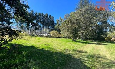 🌳 Venta de Quinta con Espectacular Vista – 1.8 Hectáreas en Yaruquí, Sector San Carlos