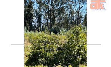 🌳 Venta de Quinta con Espectacular Vista – 1.8 Hectáreas en Yaruquí, Sector San Carlos