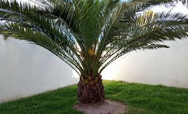 SE VENDE HERMOSA CASA SECTOR LA ARMENIA – VALLE DE LOS CHILLOS