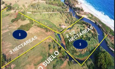 3 hectáreas en playa puerto suelo