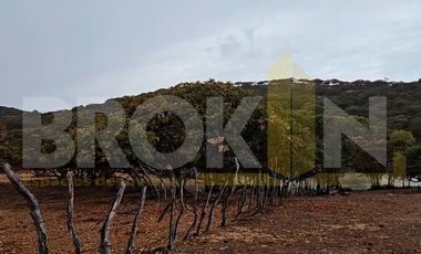 VENTA TERRENO EN LOS TIMONES AL NORTE BI