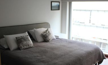 Polanco excelente departamento