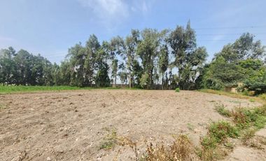 Terreno en venta Pachacamac colindando con Cieneguilla