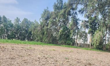 Terreno en venta Pachacamac colindando con Cieneguilla