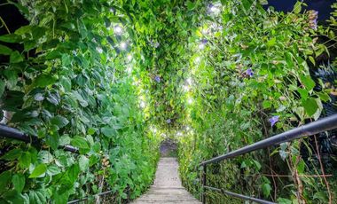 ALQUILER DE FINCA LA PORTADA TEL3007870569 EN PIEDECUESTA