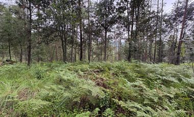 HUASCA TERRENO CAMPESTRE EN VENTA