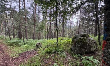 HUASCA TERRENO CAMPESTRE EN VENTA