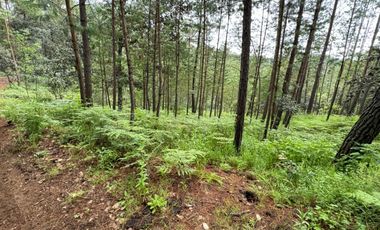 HUASCA TERRENO CAMPESTRE EN VENTA