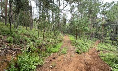 HUASCA TERRENO CAMPESTRE EN VENTA