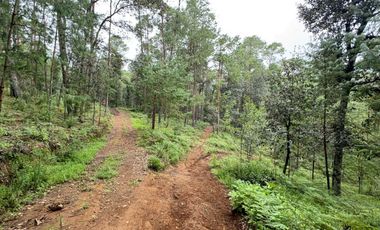 HUASCA TERRENO CAMPESTRE EN VENTA